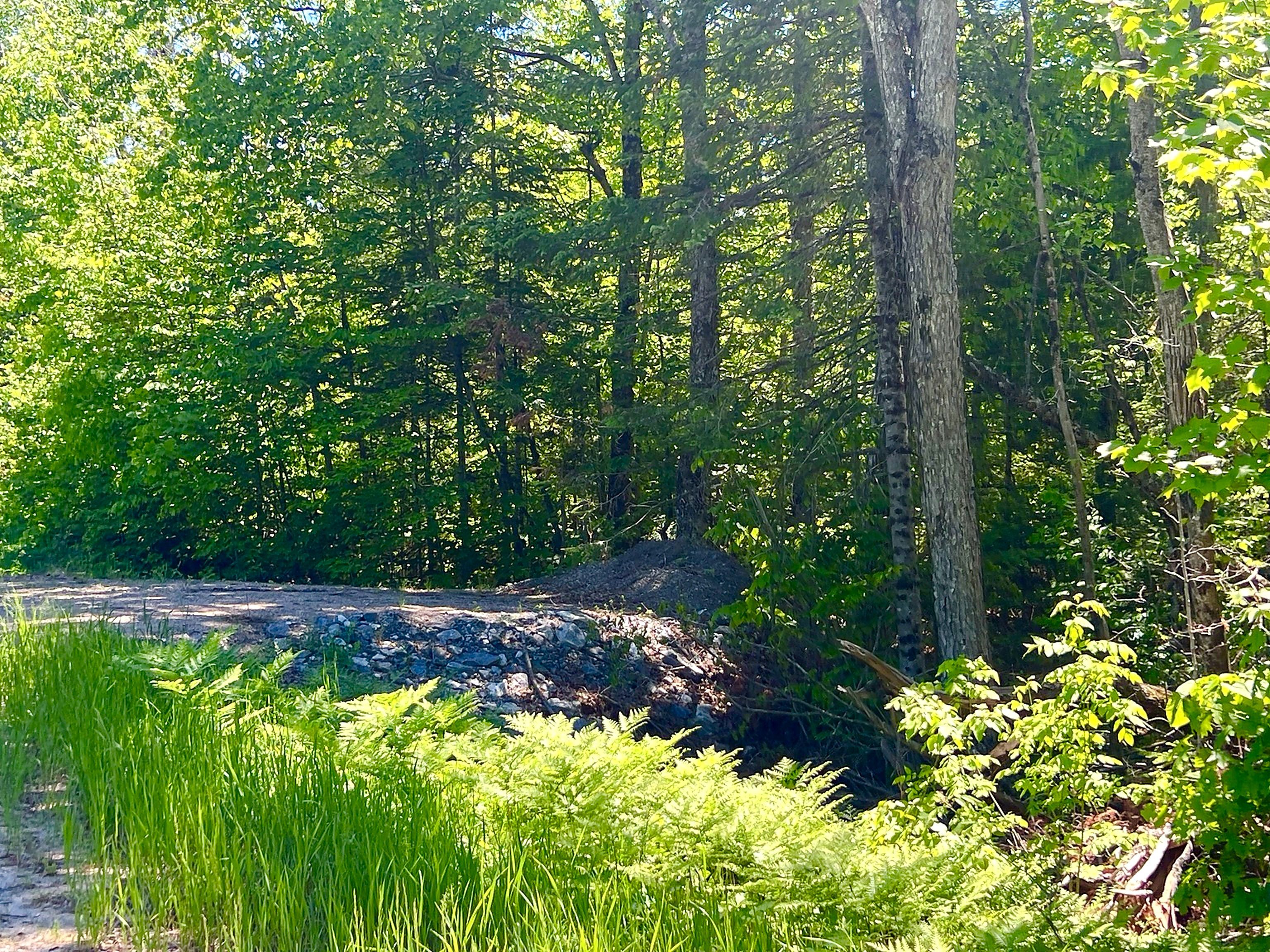 00 Buckshot Lake Road, Addington Highlands, On K0h 1k0