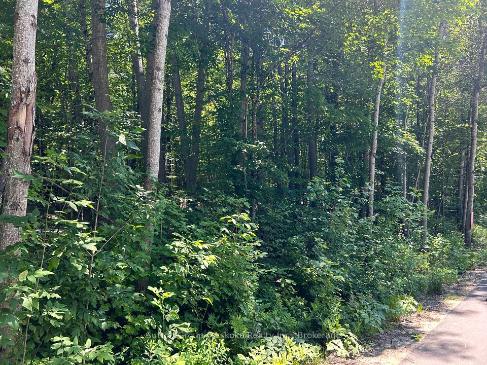 0 Tally Ho Winter Park Road, Lake Of Bays, On P1h 2j3
