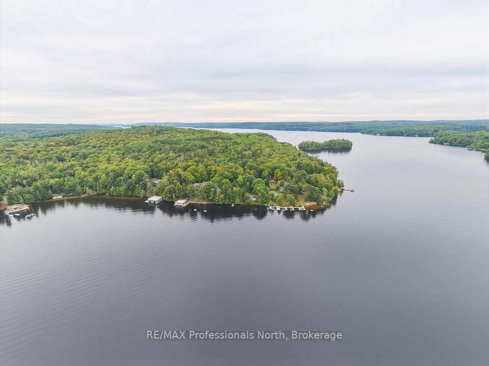 1102 Unit #4 Birchcroft Road, Lake Of Bays, On P0a 1h0