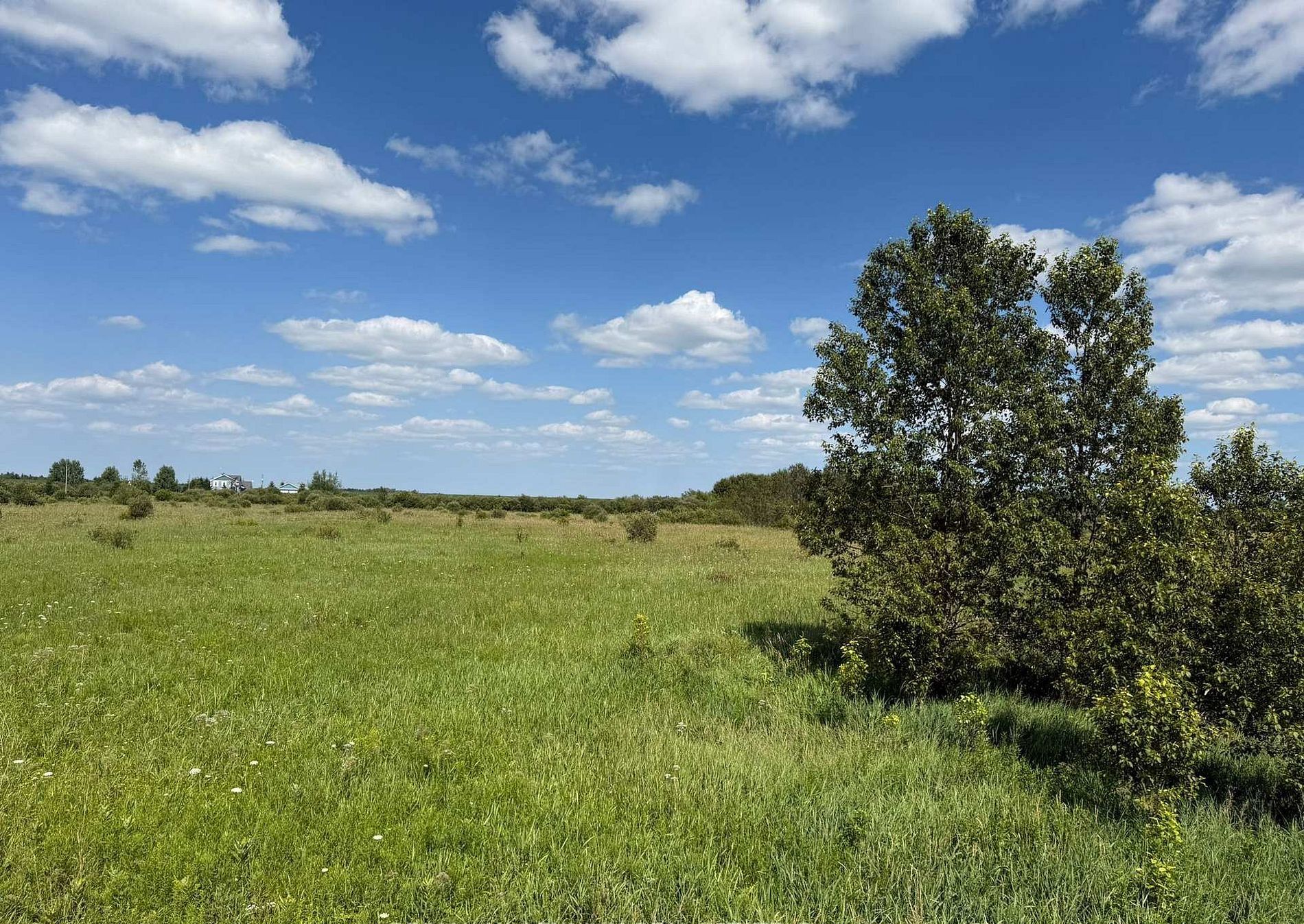 132675 Southgate Road 13, Southgate, On N0c 1b0