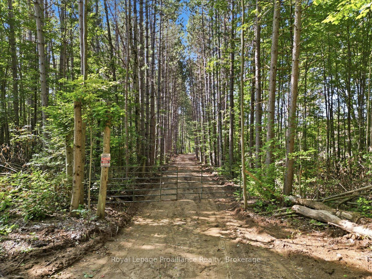 292 Hartin Road, Addington Highlands, On K0h 2g0