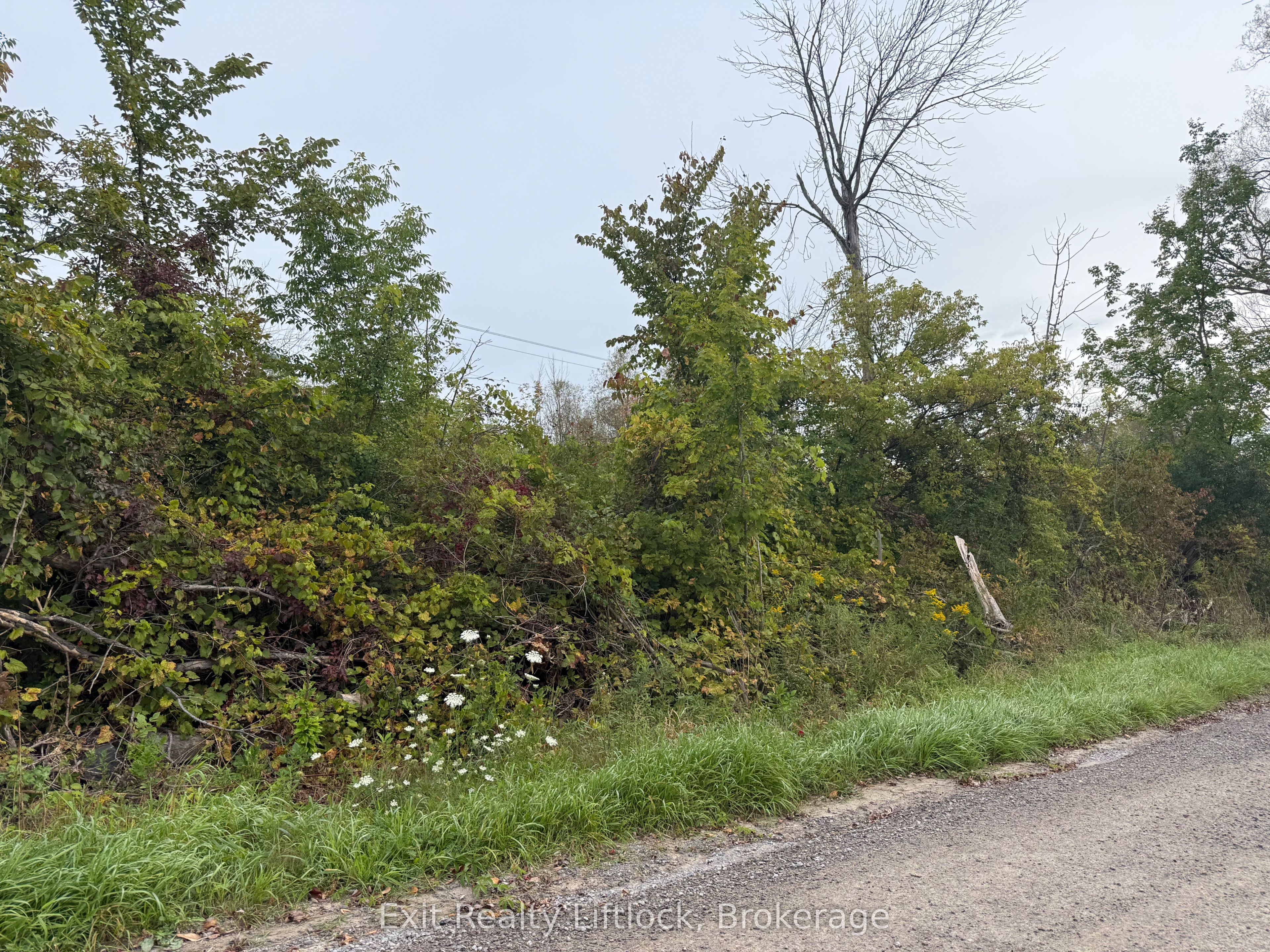 00 Bagley Road, Trent Hills, On K0k 3k0