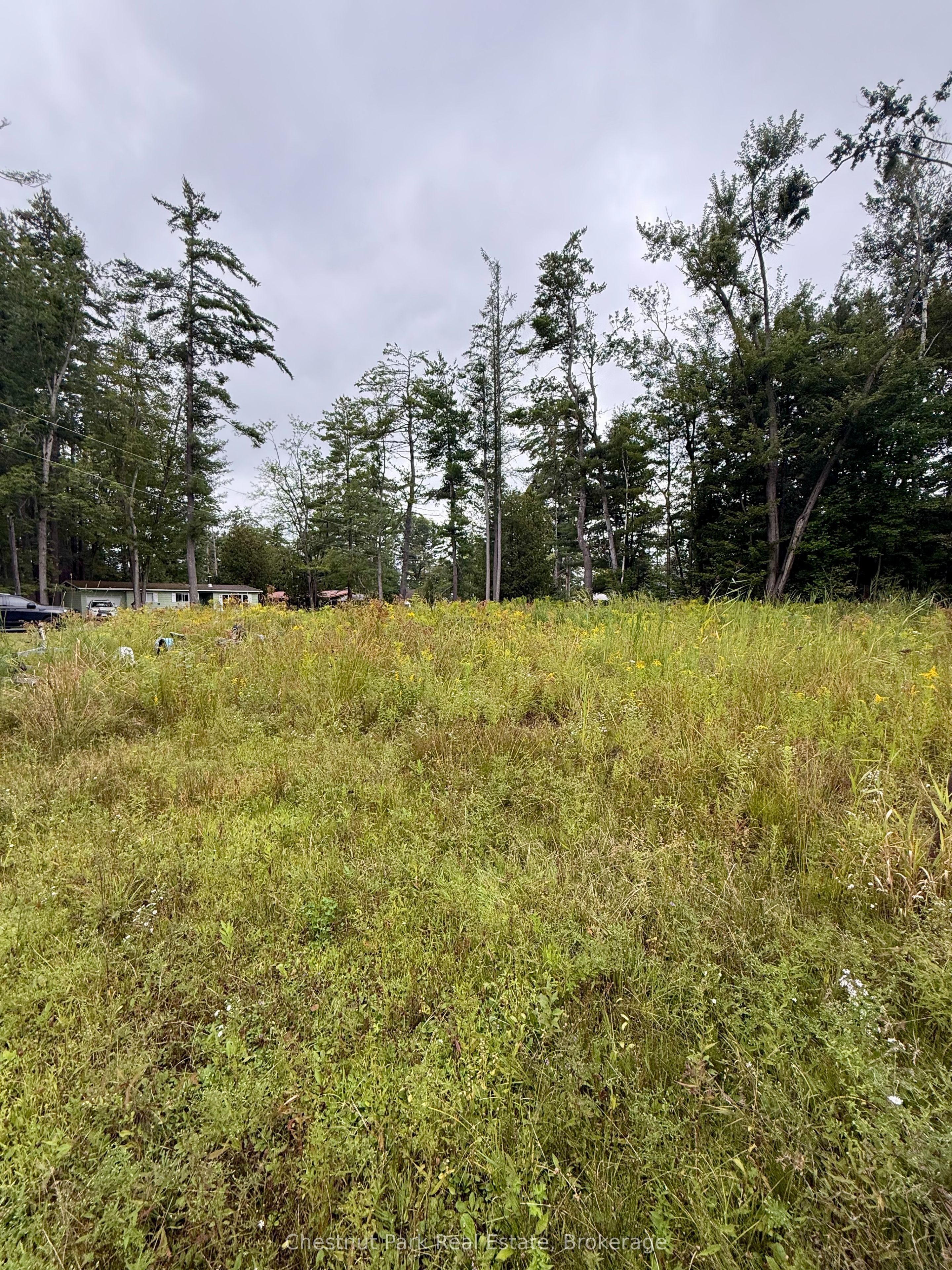 1004 Chippawa Avenue, Gravenhurst, On P1p 1r1