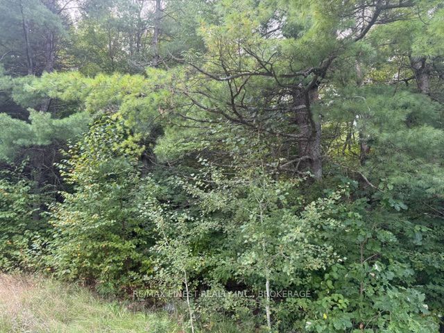 4900 County Rd 4, Stone Mills, On K0k 1z0