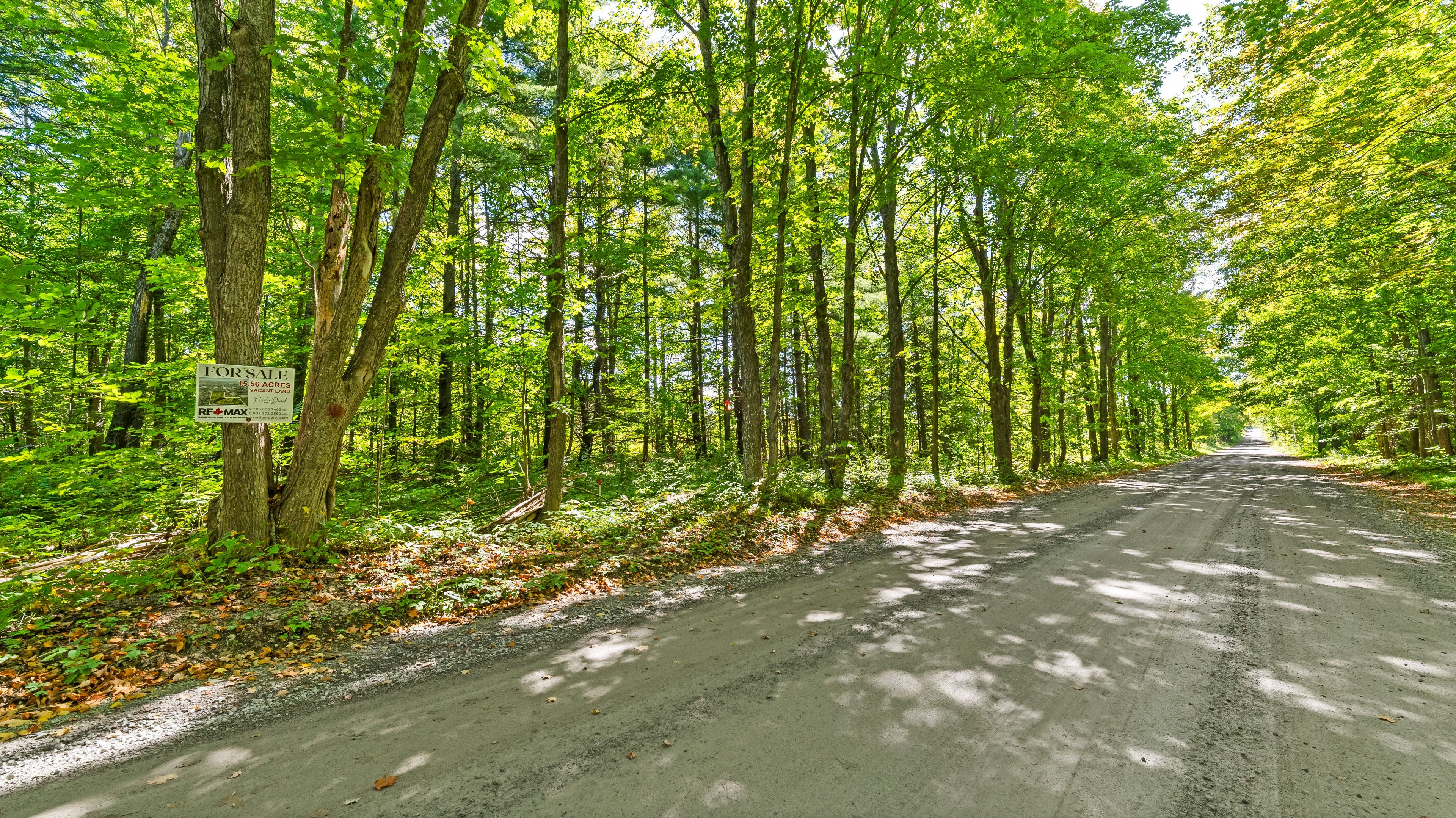 1321 Crowe River Road N, Trent Hills, On K0l 1l0
