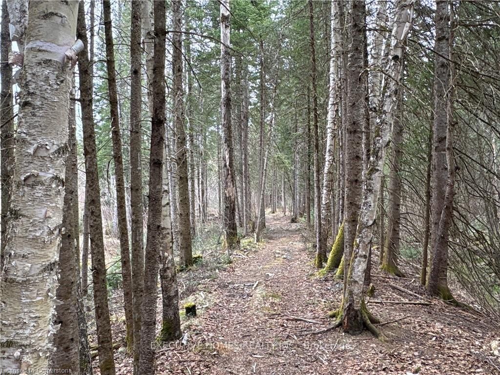 1014 Bulrush Trail, Highlands East, On K0m 1r0