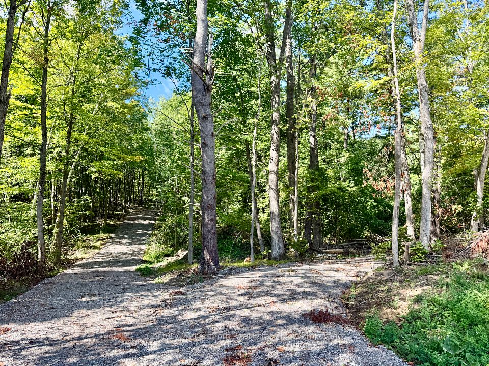 00 North Lot Highway 62, Madoc, On K0k 2k0