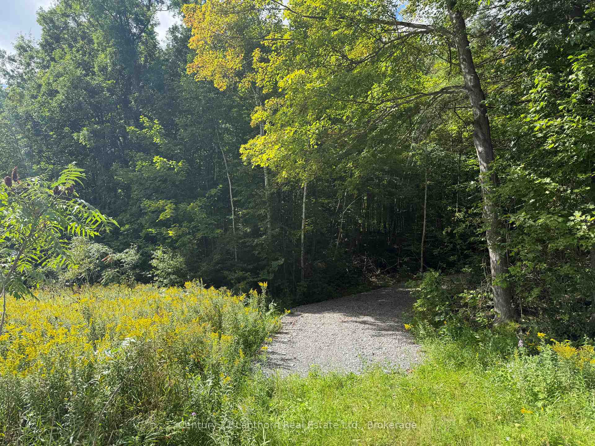 00 South Lot Highway 62, Madoc, On K0k 2k0