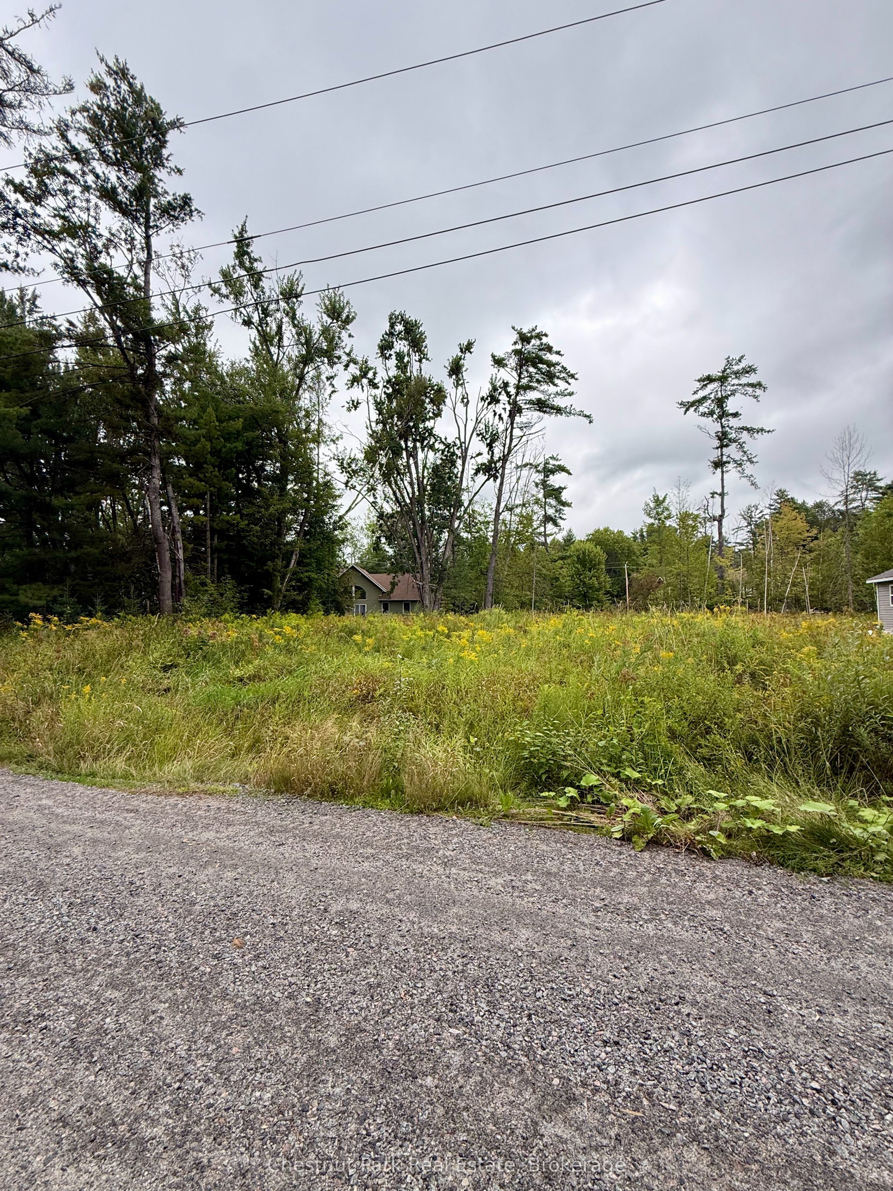 1006 Chippawa Avenue, Gravenhurst, On P1p 1r1