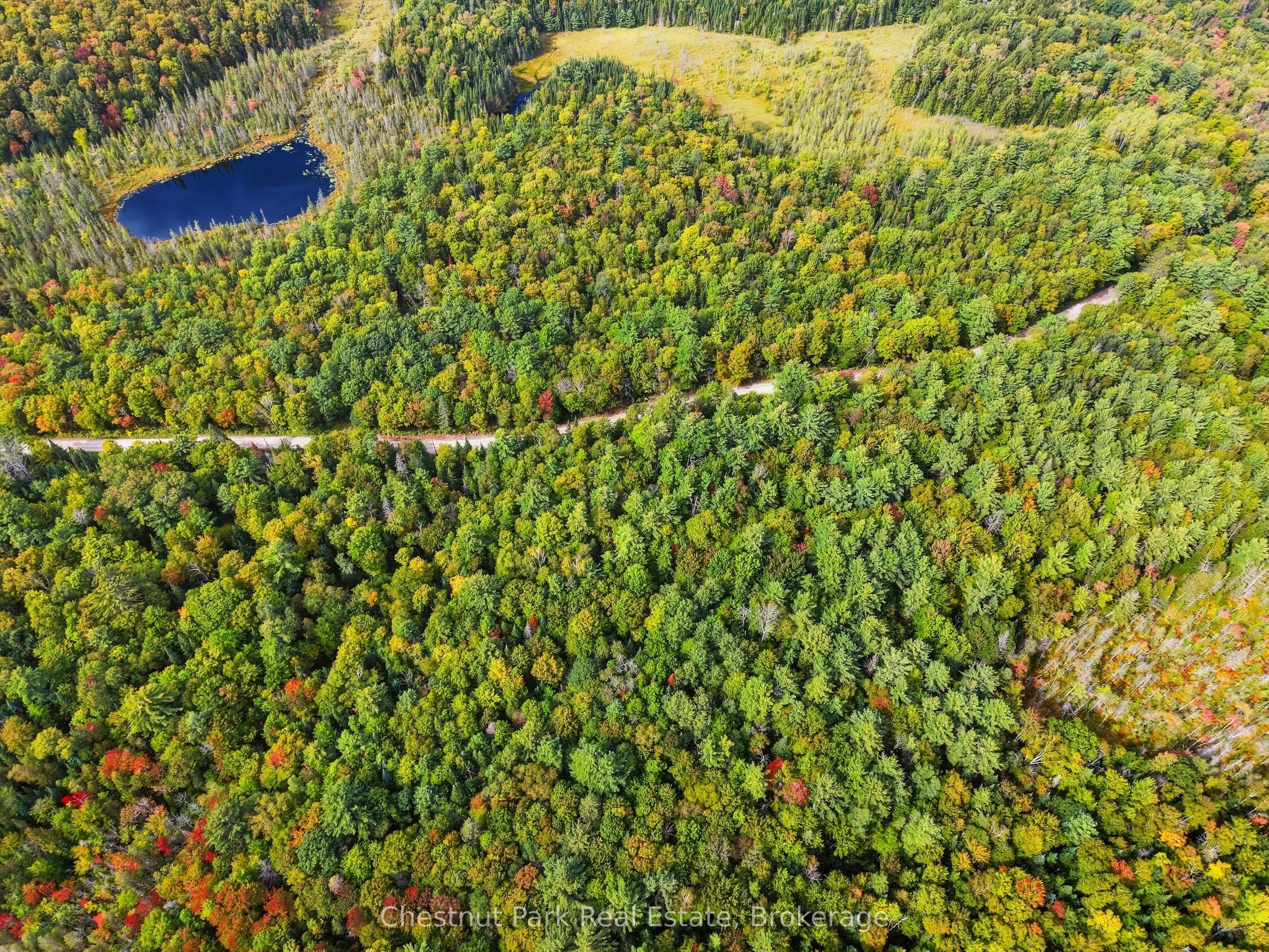 00 Paint Lake Road, Lake Of Bays, On P0b 1a0