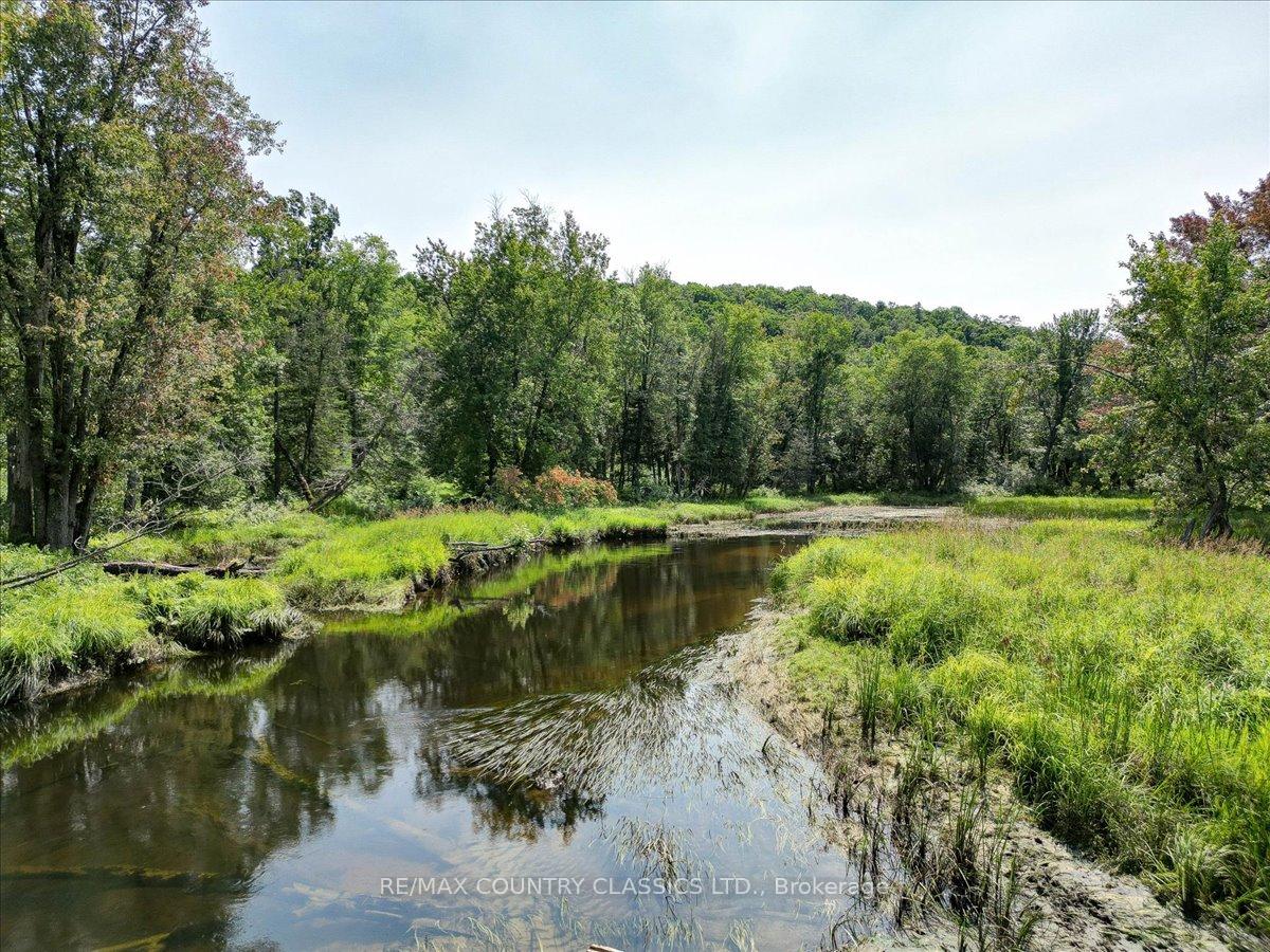 0 North Rusaw Road, North Kawartha, On K0l 1a0